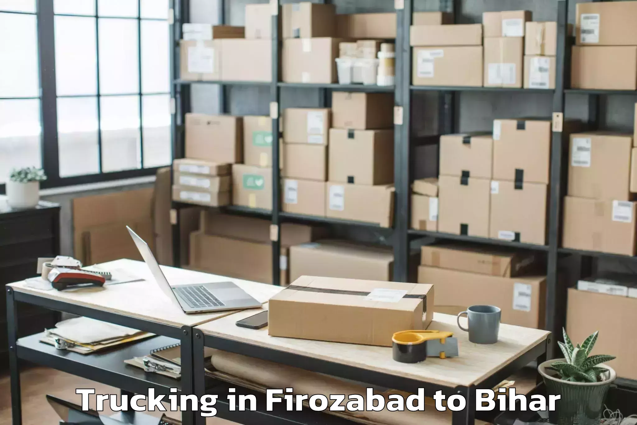 Professional Firozabad to Singhia Trucking